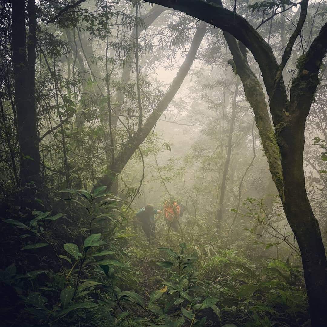 Trips-to-Amboro-National-park-Julio.2019-Jungle-Amazon
