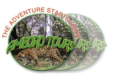 Amboro Tours Logo