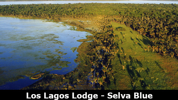 Los lagos lodge Selva Blue