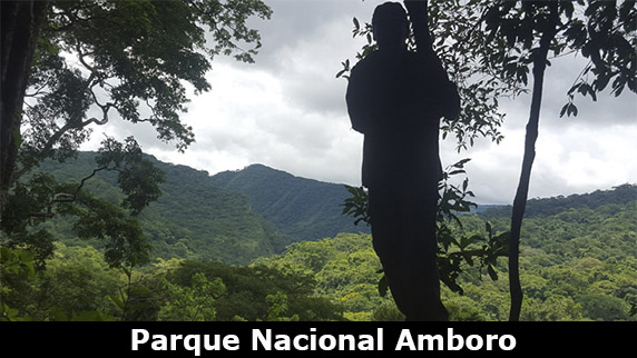 Parque Nacional Amboro Tours