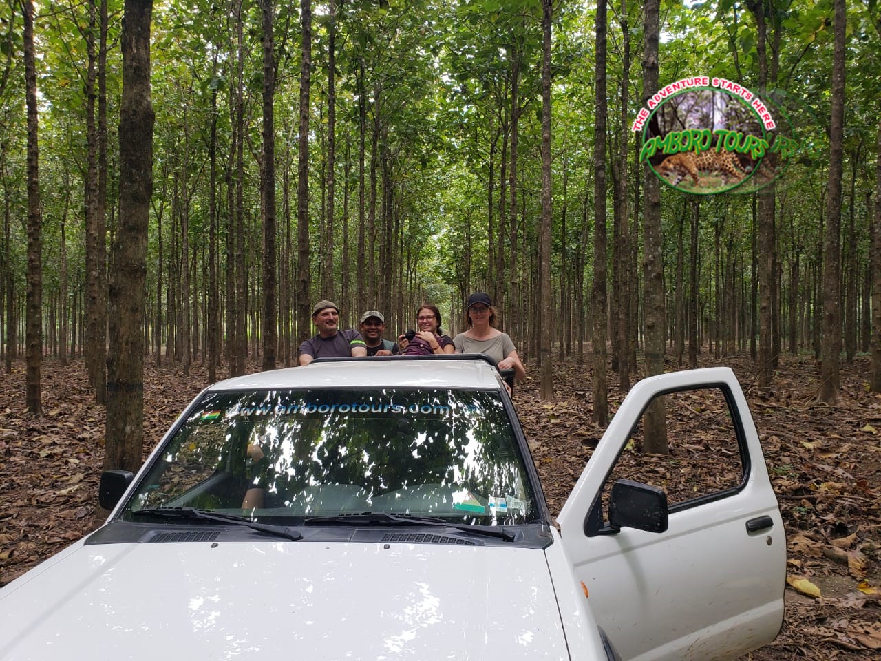 Safari Wildlife observer vehicle