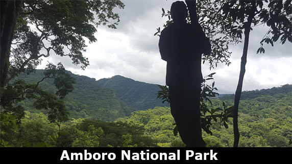Amboro park north side