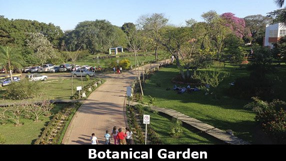Botanical Garden Santa Cruz