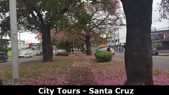 Santa Cruz city tour