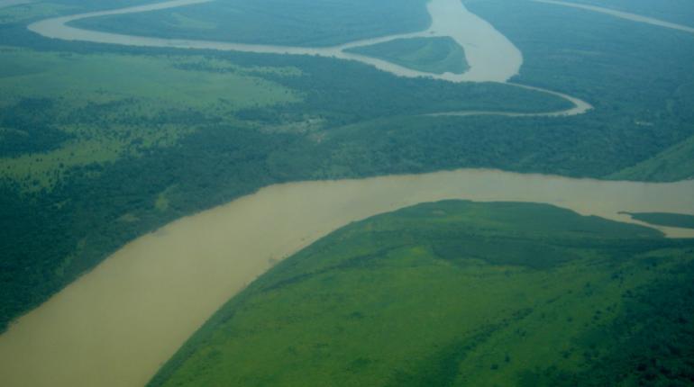 Rios  Amazonicos